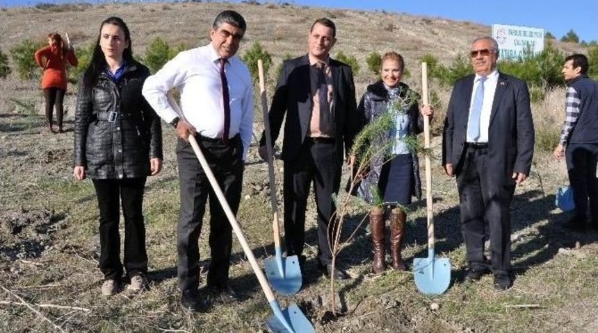 Belediye Ve &Ccedil;evkor İle Birlikte Fidan Dikti