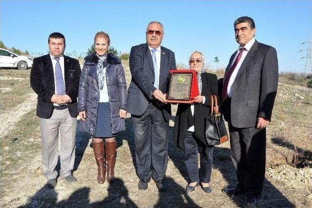 Belediye Ve Çevkor İle Birlikte Fidan Dikti