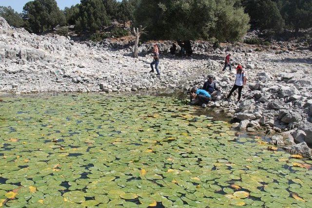 Doğaseverlere Beyşehir Gölü Hacıakif Adası Tanıtıldı