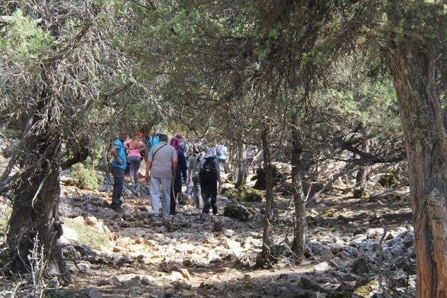 Doğaseverlere Beyşehir Gölü Hacıakif Adası Tanıtıldı