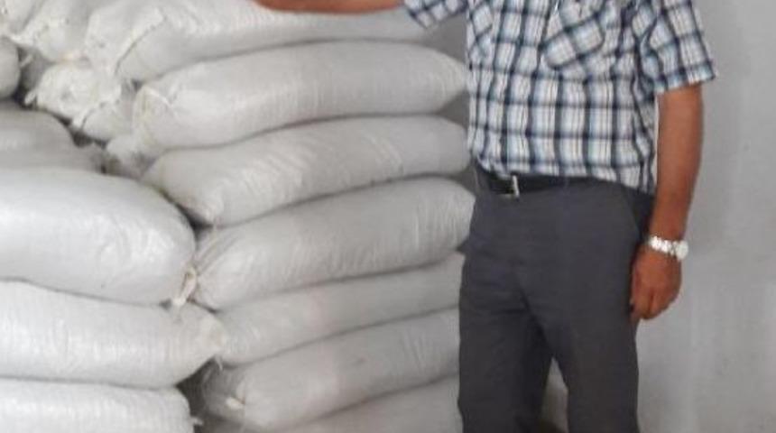 Kuru &Uuml;z&uuml;m Alımları Başladı