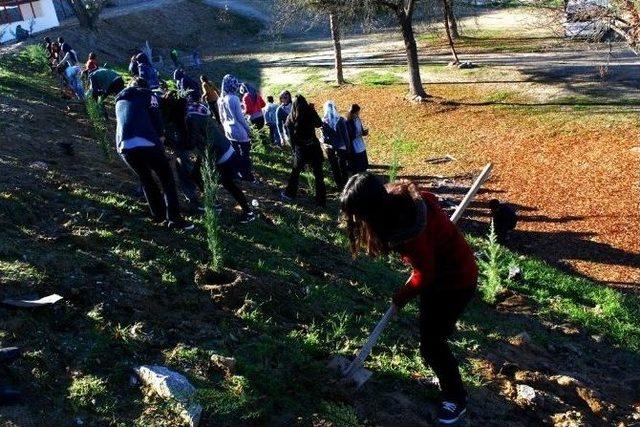 Bursa Perder’den Doğaya Katkı