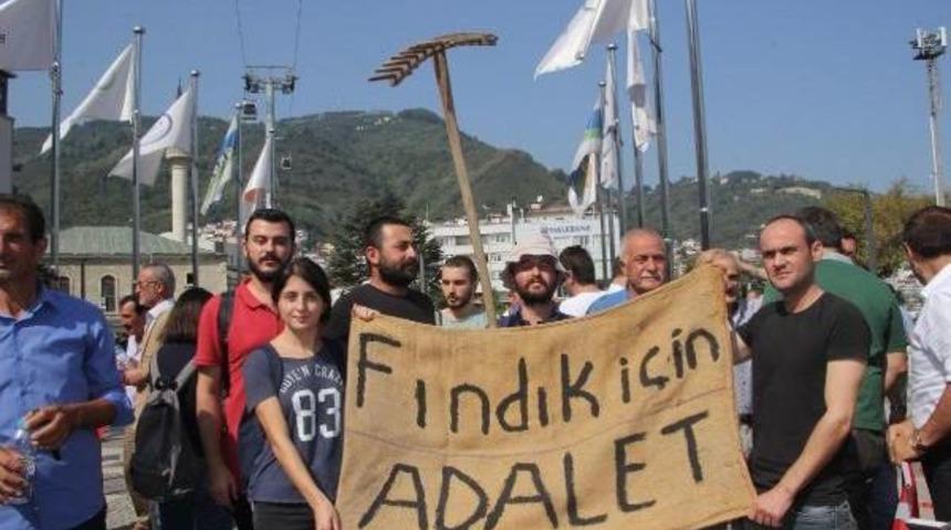 Chp'nin 'fındık İ&ccedil;in Y&uuml;r&uuml;yoruz' Y&uuml;r&uuml;y&uuml;ş&uuml; Başladı