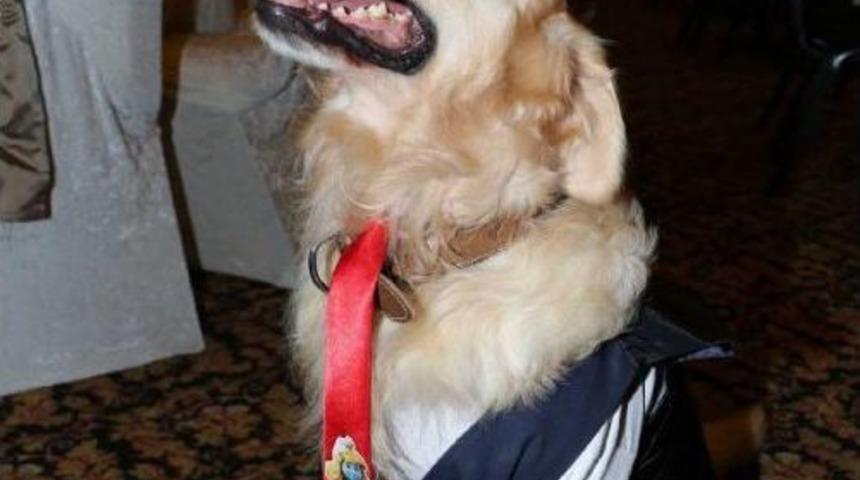 Veteriner &Ccedil;iftin D&uuml;ğ&uuml;n&uuml;nde K&ouml;pekleri De Gelinlik Ve Damatlık Giydi