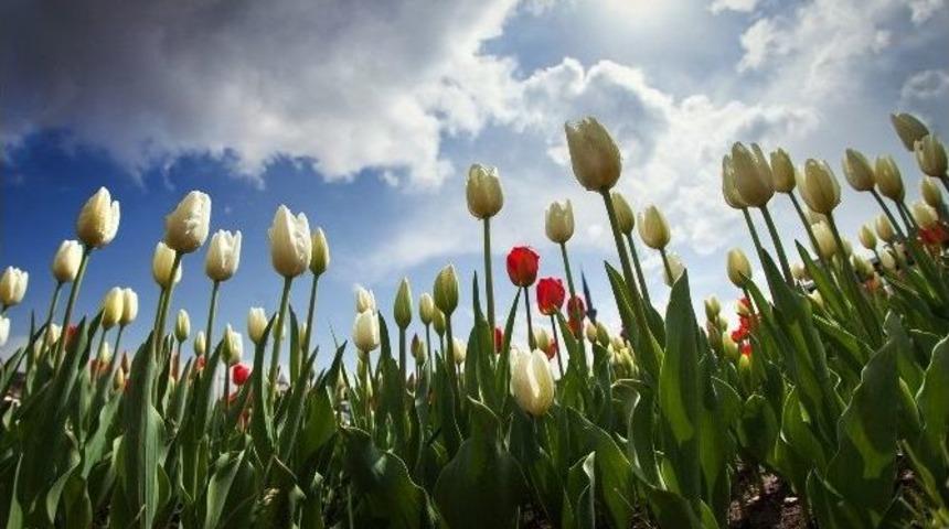 Kafder Başkanı G&ouml;nen&rsquo;in &lsquo;hi&ccedil;&rsquo; İsimli Sergisi A&ccedil;ılıyor