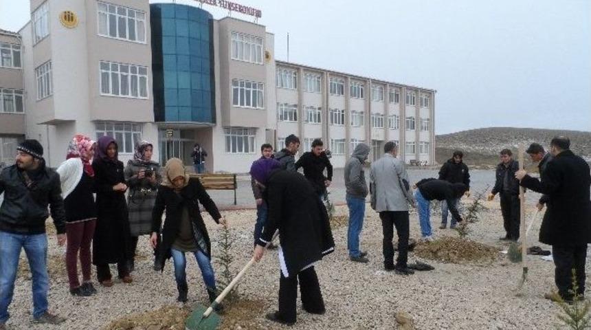 Darende Bekir Ilıcak Myo&rsquo;da Fidan Dikimi Yapıldı