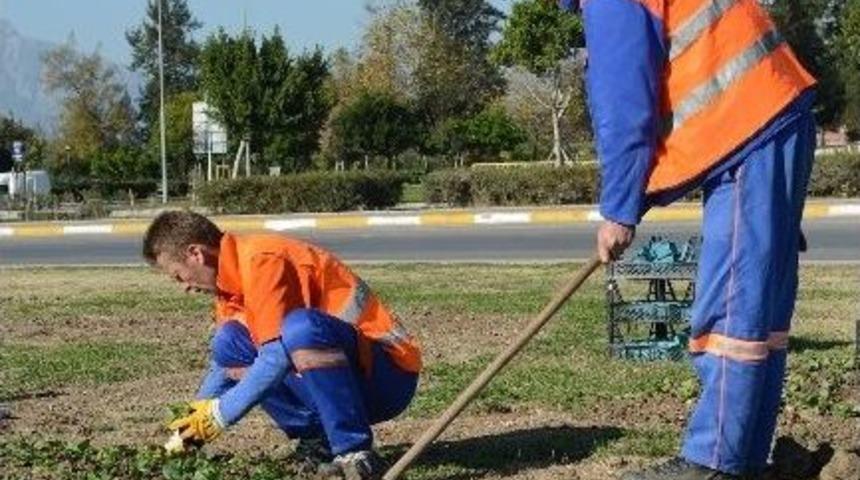 Antalya&rsquo;da 7 Ayda 2 Milyon &Ccedil;i&ccedil;ek Dikildi