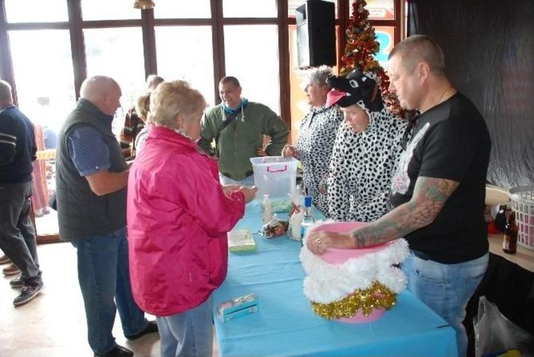 Sokak Hayvanları İ&ccedil;in Aralık Ayında Denize Girdiler