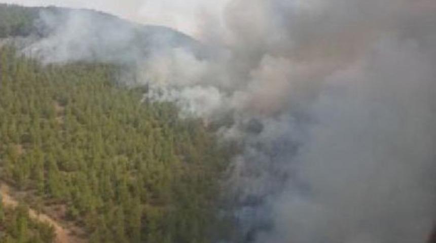 Honaz'da Orman Yangını