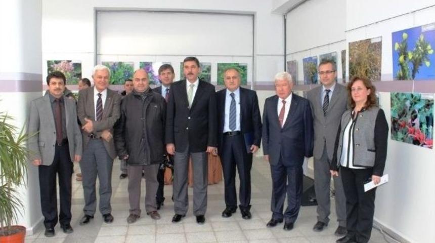 &ldquo;tıbbi Bitkiler Fotoğraf Sergisi&rdquo; A&ccedil;ıldı
