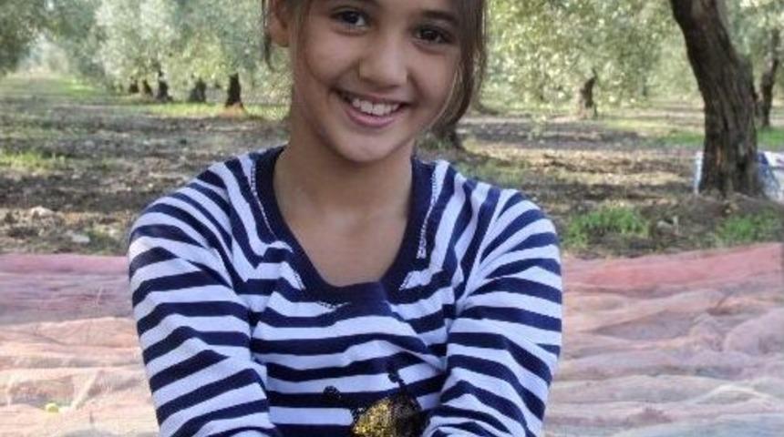 Zeytinyağı &Uuml;reticiyi Sevindirdi, Vatandaşı &Uuml;zd&uuml;