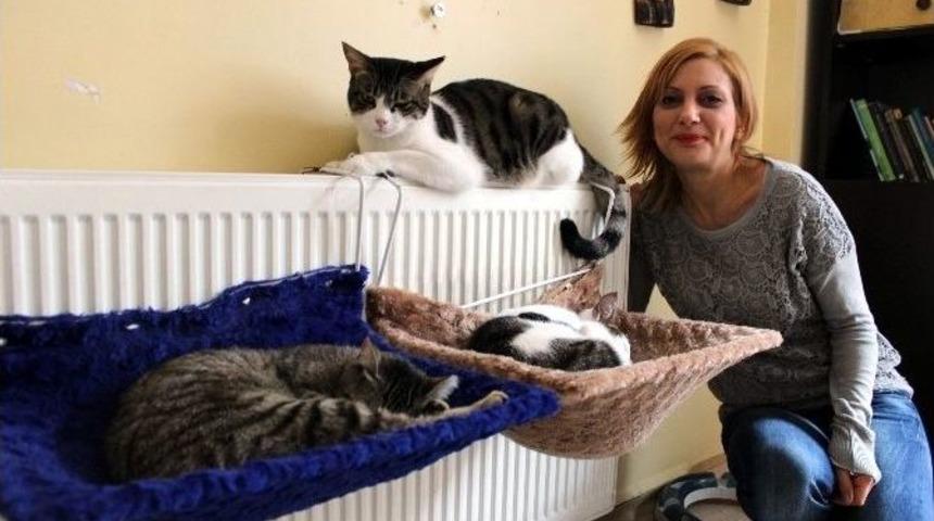 Onlar Da &Uuml;ş&uuml;yor Ve A&ccedil;ıkıyor