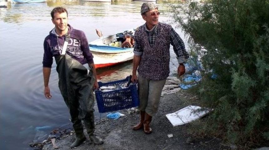Bafa G&ouml;l&uuml;n&uuml;n Kefali İzmir Ve Adana Yolcusu