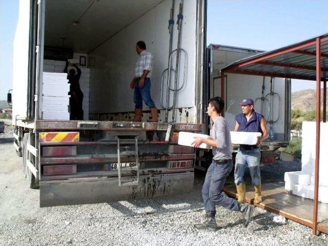 Bafa G&ouml;l&uuml;n&uuml;n Kefali İzmir Ve Adana Yolcusu 1