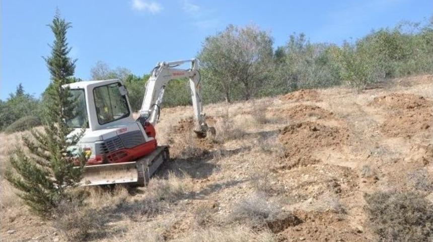 Otoyol Kenarına Fidanlar Dikilecek
