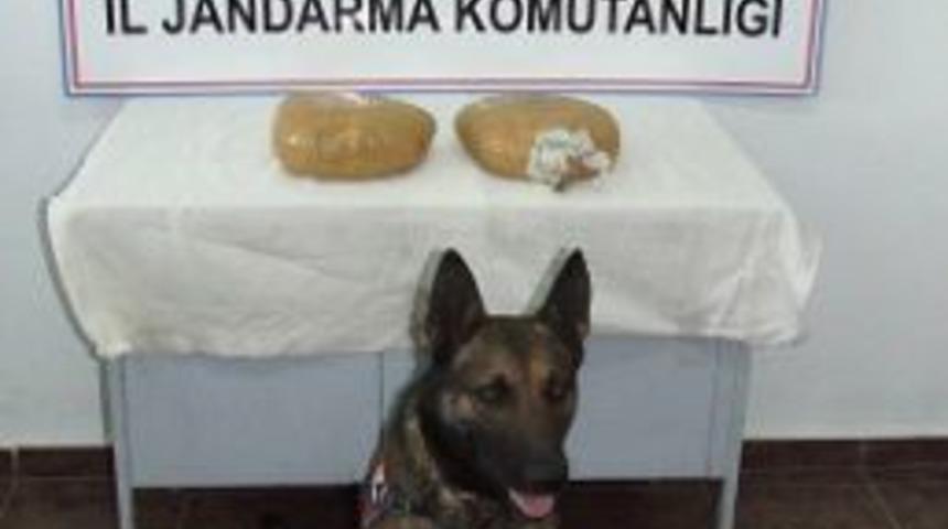 Jandarma Ekibi 24 Kilo Esrar Ele Ge&ccedil;irdi