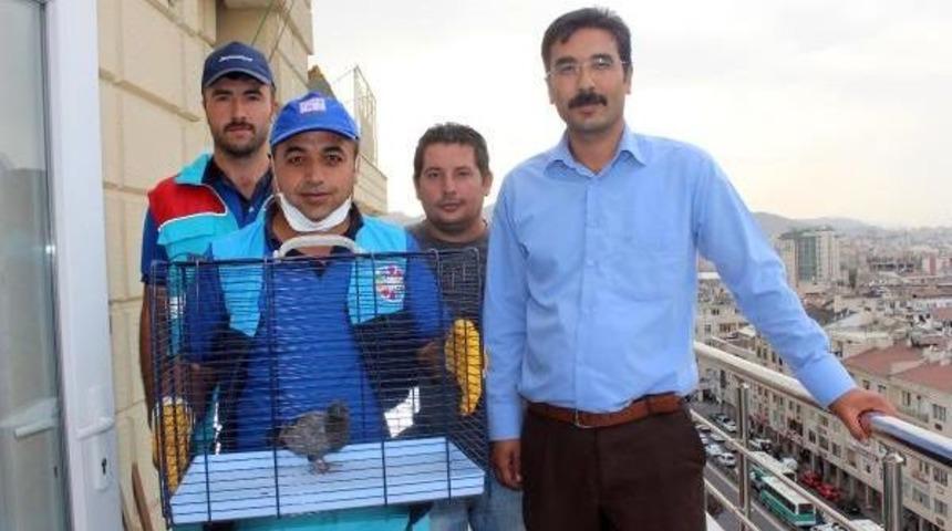 Annesi &Ouml;len Yavru G&uuml;vercin I&ccedil;in Seferber Oldular