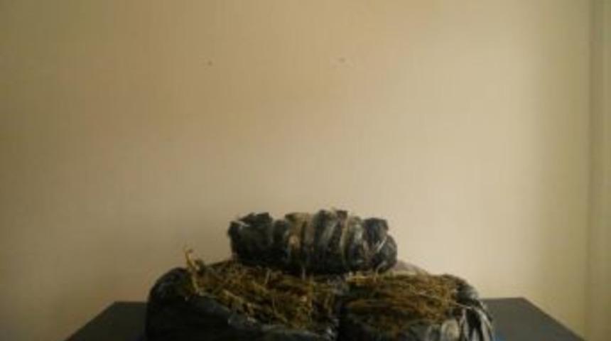 Suriyeli, 20 Kilo Esrarla Yakalandı