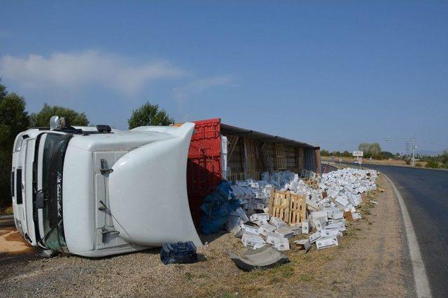 Okullara Üzüm Taşıyan Tır Devrildi: 1 Yaralı