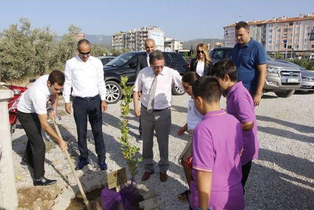 Şehit Öğretmen Aybüke Anısına Öğrenciler Okulun İlk Gününde Ağaç Dikti