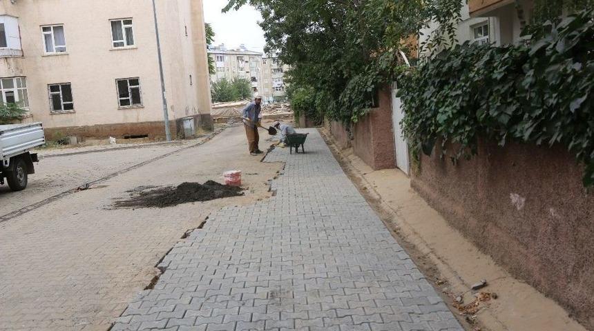 Bing&ouml;l&rsquo;de &Uuml;styapı &Ccedil;alışmaları