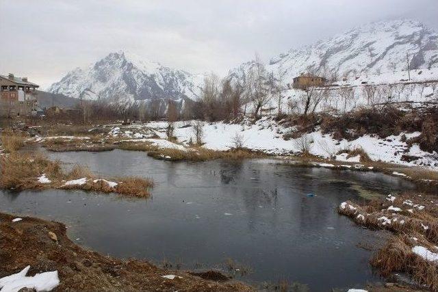 Hakkari’de Soğuk Havalar