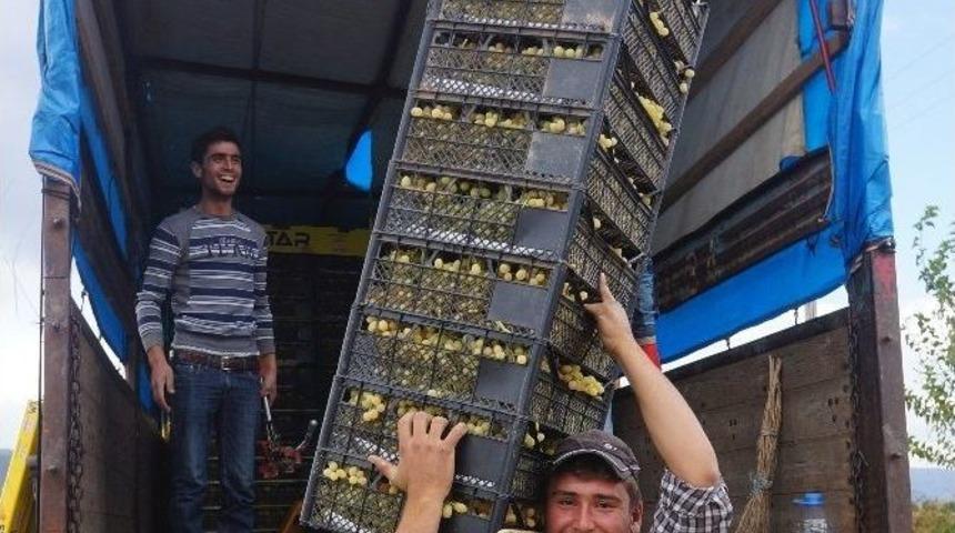 &Uuml;z&uuml;m Herk&uuml;l&uuml;