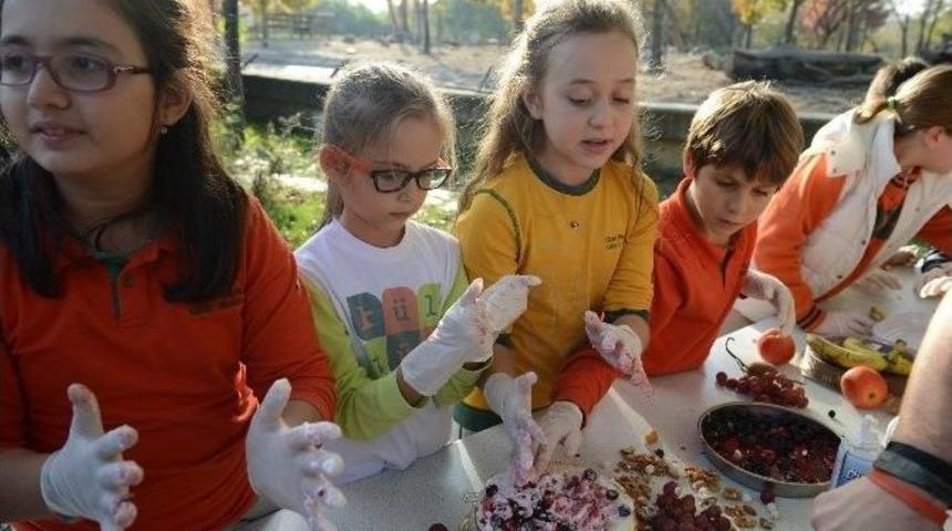 &Ouml;ğrencilerden Maymunlara Yaş Pasta