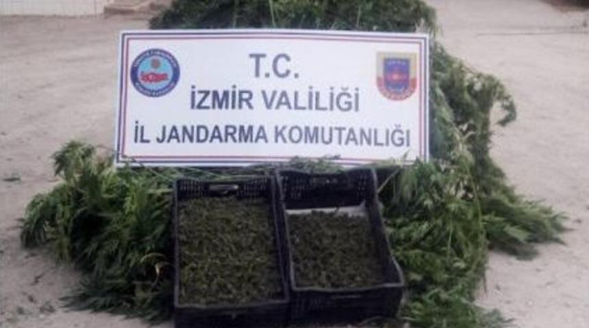 İzmir&rsquo;de Uyuşturucu Operasyonu: 3 G&ouml;zaltı