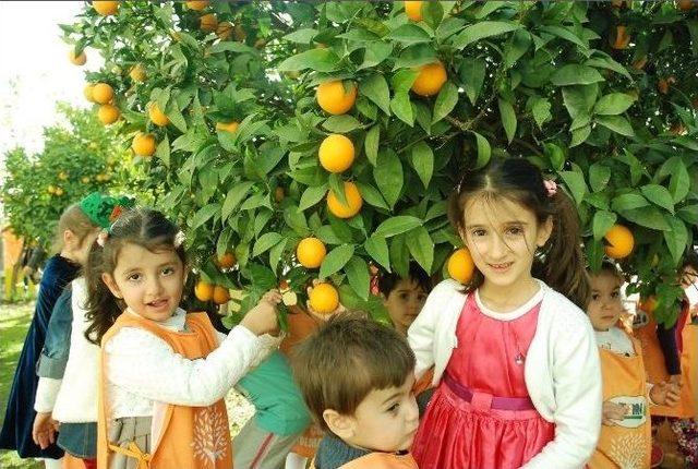 Türkiye’de İlk Tema Görseli Bir Kreşe Verildi