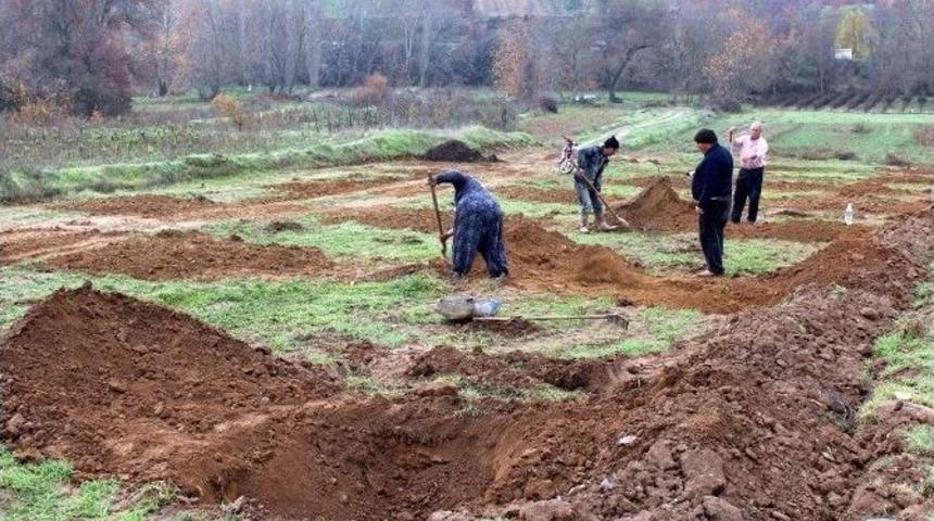 &Uuml;z&uuml;mde Fiyat D&uuml;ş&uuml;kl&uuml;ğ&uuml; &Ccedil;ift&ccedil;ileri Cevize Y&ouml;neltti