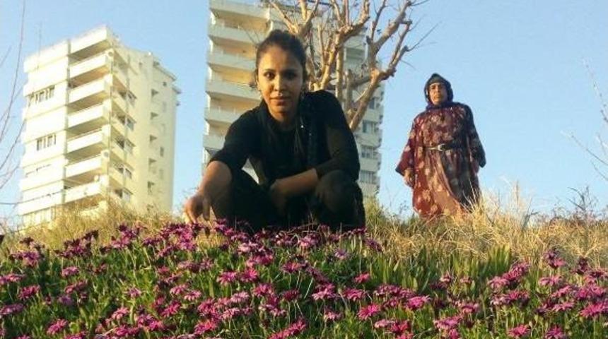 &Uuml;vey Annesi &Ouml;ld&uuml;r&uuml;ld&uuml;kten Sonra Kaybolan Gen&ccedil; Kızın Cesedi Bulundu