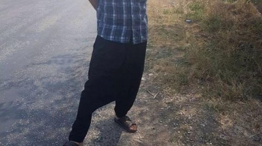 Yol Kenarında Bulunan Dev Kaplumbağa Kabukları Şaşırttı