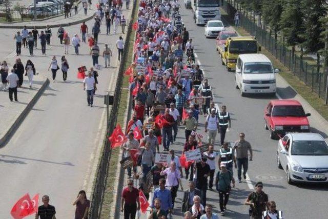 Chp nin  fındık İ&ccedil;in Y&uuml;r&uuml;yoruz  Y&uuml;r&uuml;y&uuml;ş&uuml; Başladı (2) 1