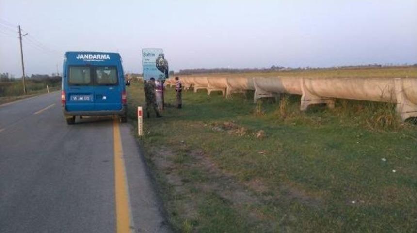 Leylek Yuvaları &Ccedil;alındı