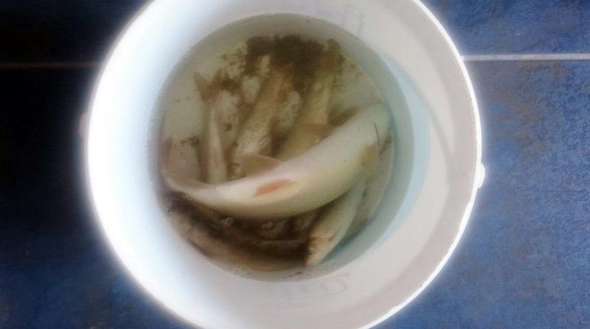 Derede Balık Avlayan 3 Kişi G&ouml;zaltına Alındı