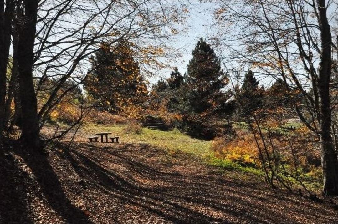 Uludağ&rsquo;da &lsquo;d&ouml;rtnala&rsquo; Eko Turizm