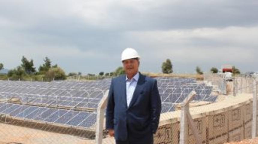 &rsquo;&rsquo;g&uuml;neşten Ormanlar&rsquo;&rsquo; Enerjinin Akciğeri Oldu