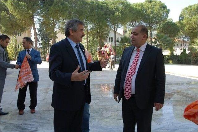 Yatağan Belediyesi Deve G&uuml;reşi Festivali 18 Ocak&rsquo;ta Yapılacak 1