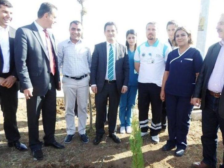 Şırnak Şerafettin Elçi Havalimanı Çevresine 7 Bin Çam Fidanı Dikildi G1