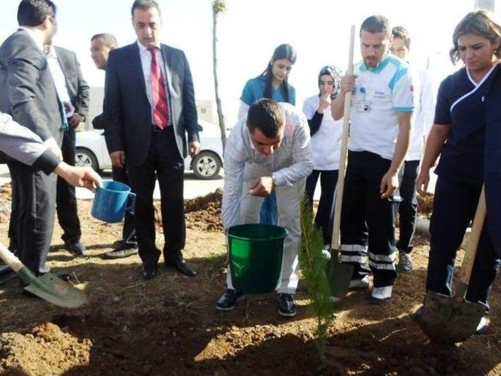 Şırnak Şerafettin Elçi Havalimanı Çevresine 7 Bin Çam Fidanı Dikildi G2