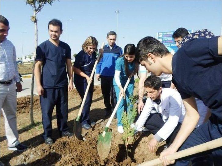Şırnak Şerafettin Elçi Havalimanı Çevresine 7 Bin Çam Fidanı Dikildi G3
