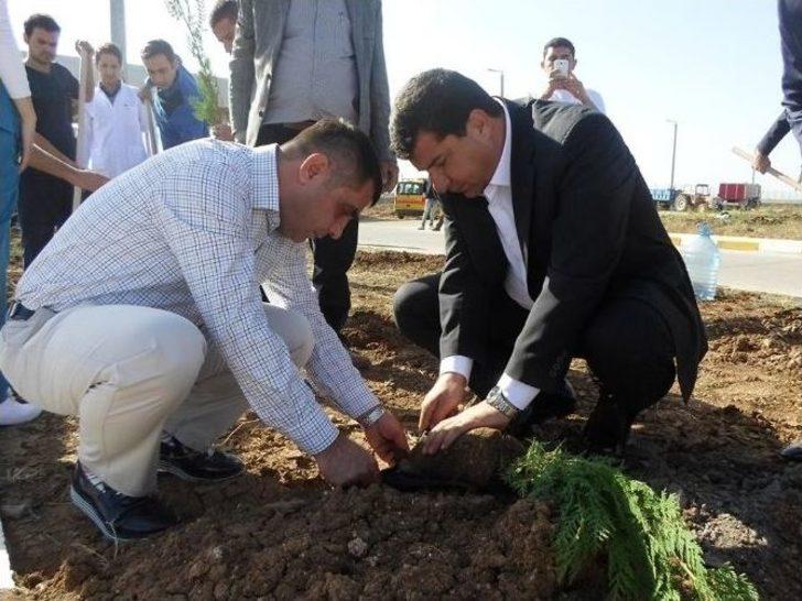 Şırnak Şerafettin Elçi Havalimanı Çevresine 7 Bin Çam Fidanı Dikildi G4