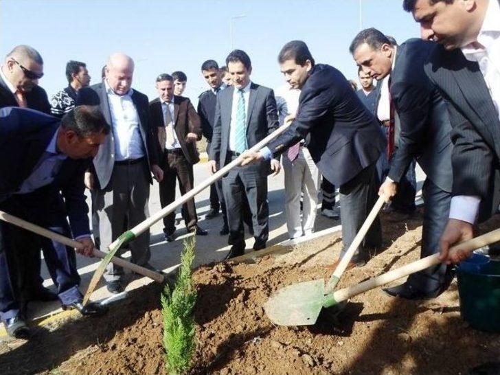 Şırnak Şerafettin Elçi Havalimanı Çevresine 7 Bin Çam Fidanı Dikildi G5