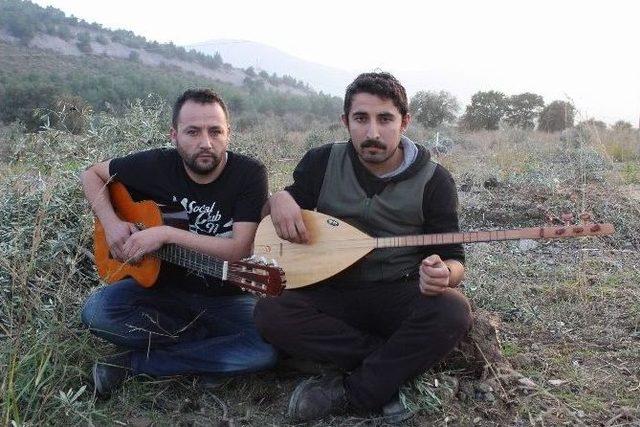 (&ouml;zel Haber) Kesilen Zeytin Ağa&ccedil;ları İ&ccedil;in Şarkı Besteledi 1