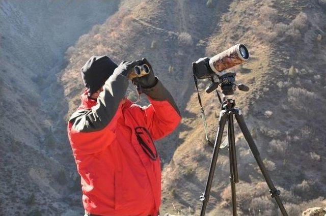 Dersim’in Yaban Hayatı Fotoğraf Karelerine Yansıtılıyor