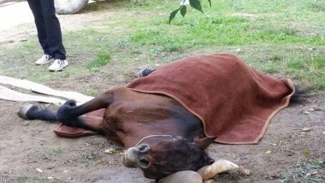 Vefasızlığın Böylesi