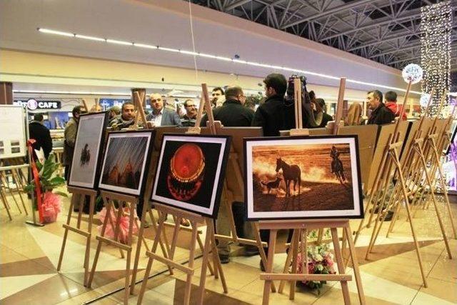 ’hiç’ Fotoğraf Sergisi Açıldı