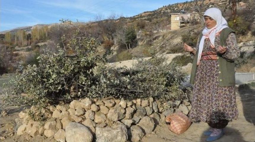 (&ouml;zel Haber) Madenci Annesi: &ldquo;ne Olurdu Bir Dilim Ekmeği Dışarıda Yeseydi&rdquo;