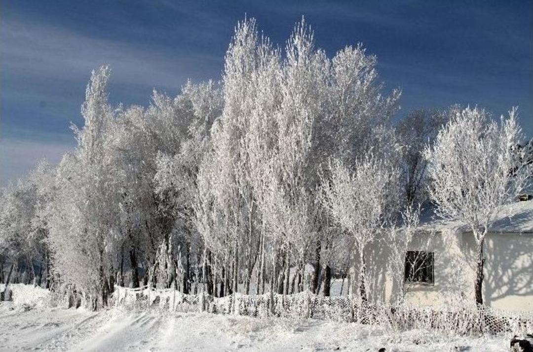 &Ccedil;aldıran Dondu